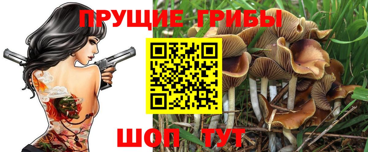 Галлюциногенные грибы мухоморы Щёлково